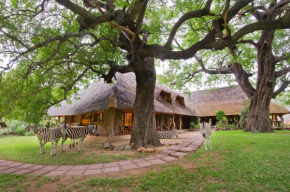  Blyde River Canyon Lodge  Hoedspruit